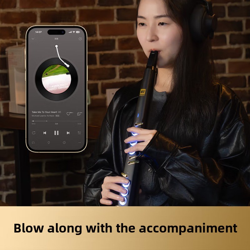 C20 true sampling domestic hig - Musical Instrument You Blow Into 评论和价格