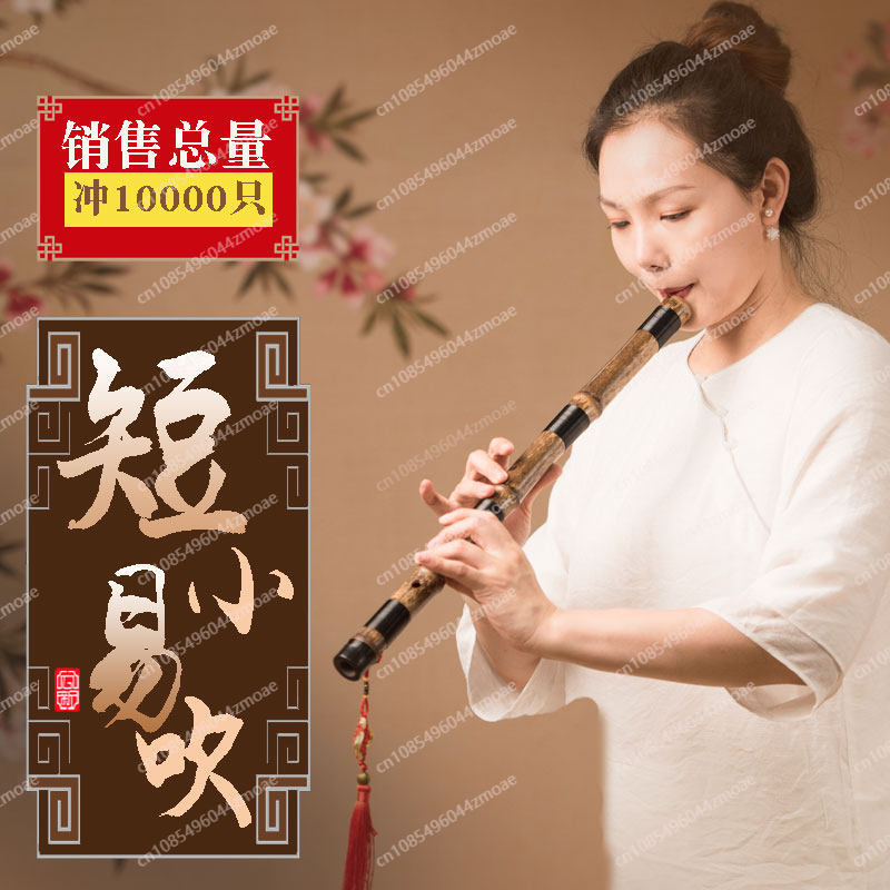 Professional play hole flute o - Musical Instrument You Blow Into 评论和价格