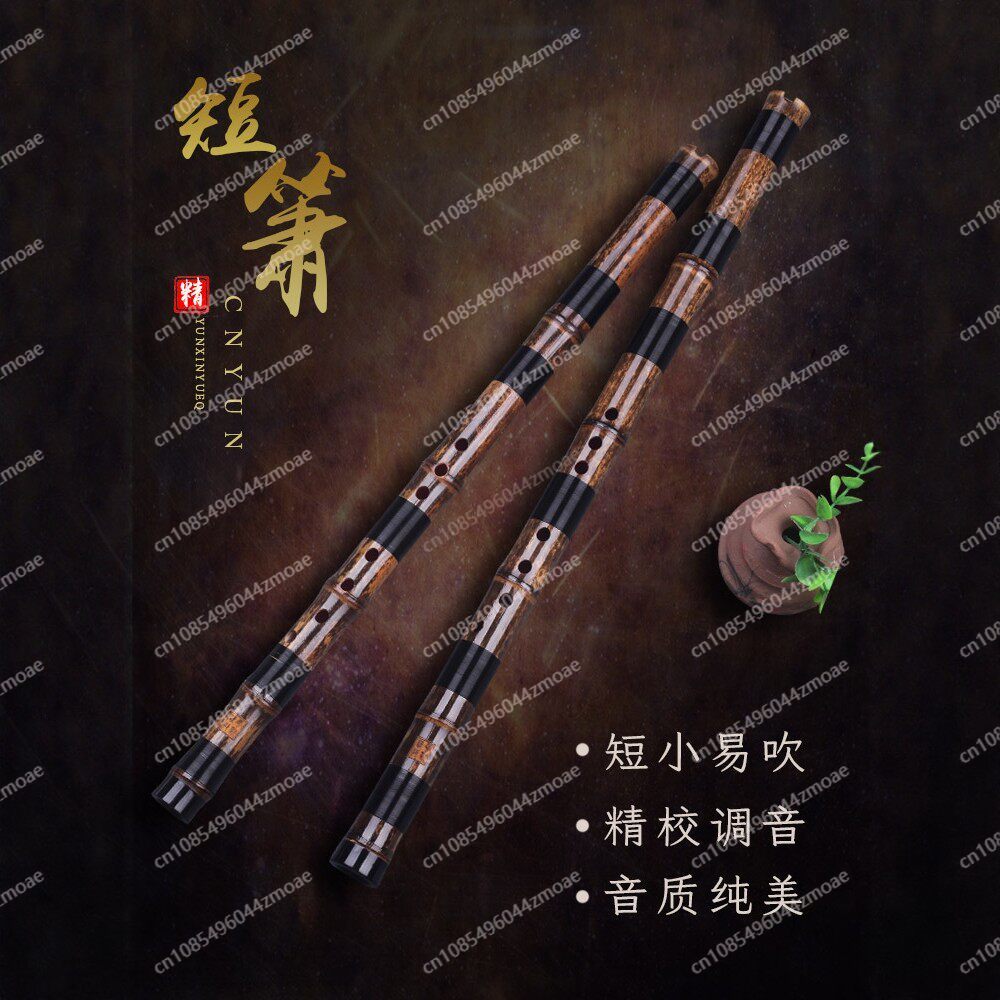 Professional play hole flute o - Musical Instrument You Blow Into 评论和价格