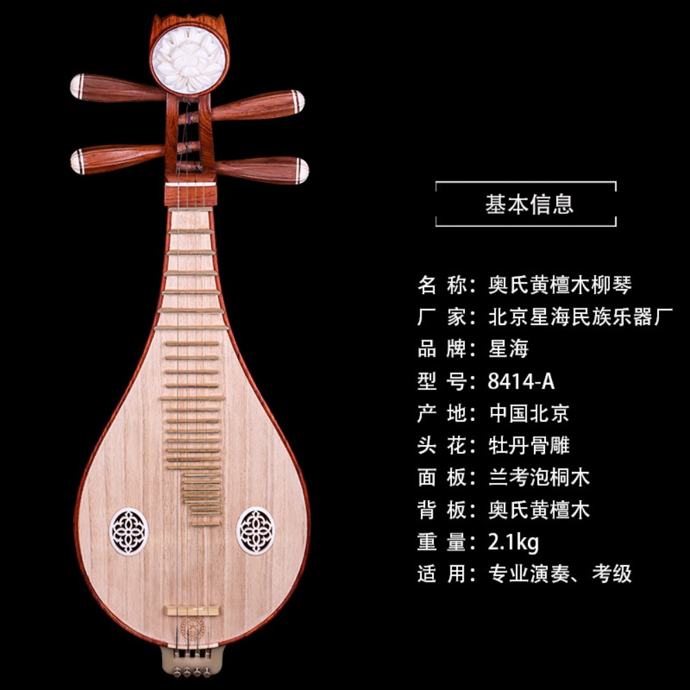 Beijing Xinghai 8414-A Rosewoo - Musical Instrument Music 评论和价格