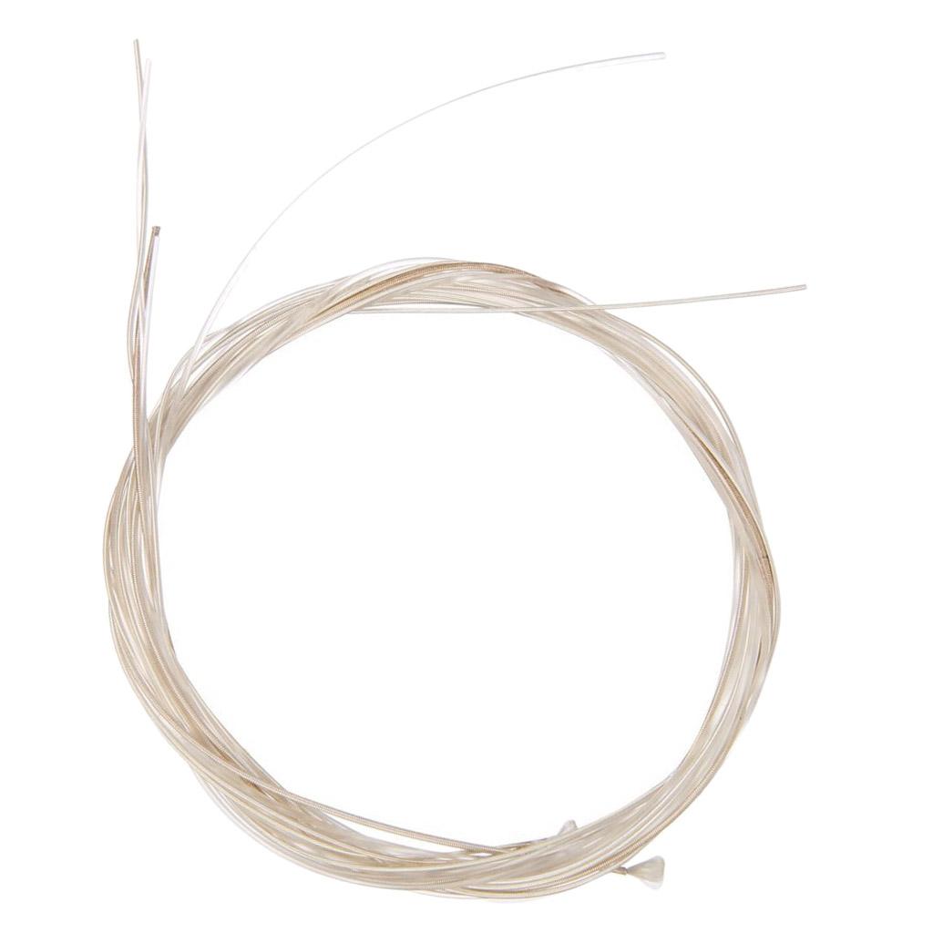 Classic Guitar Strings Nylon S - Classical Guitar Nylon 评论和价格