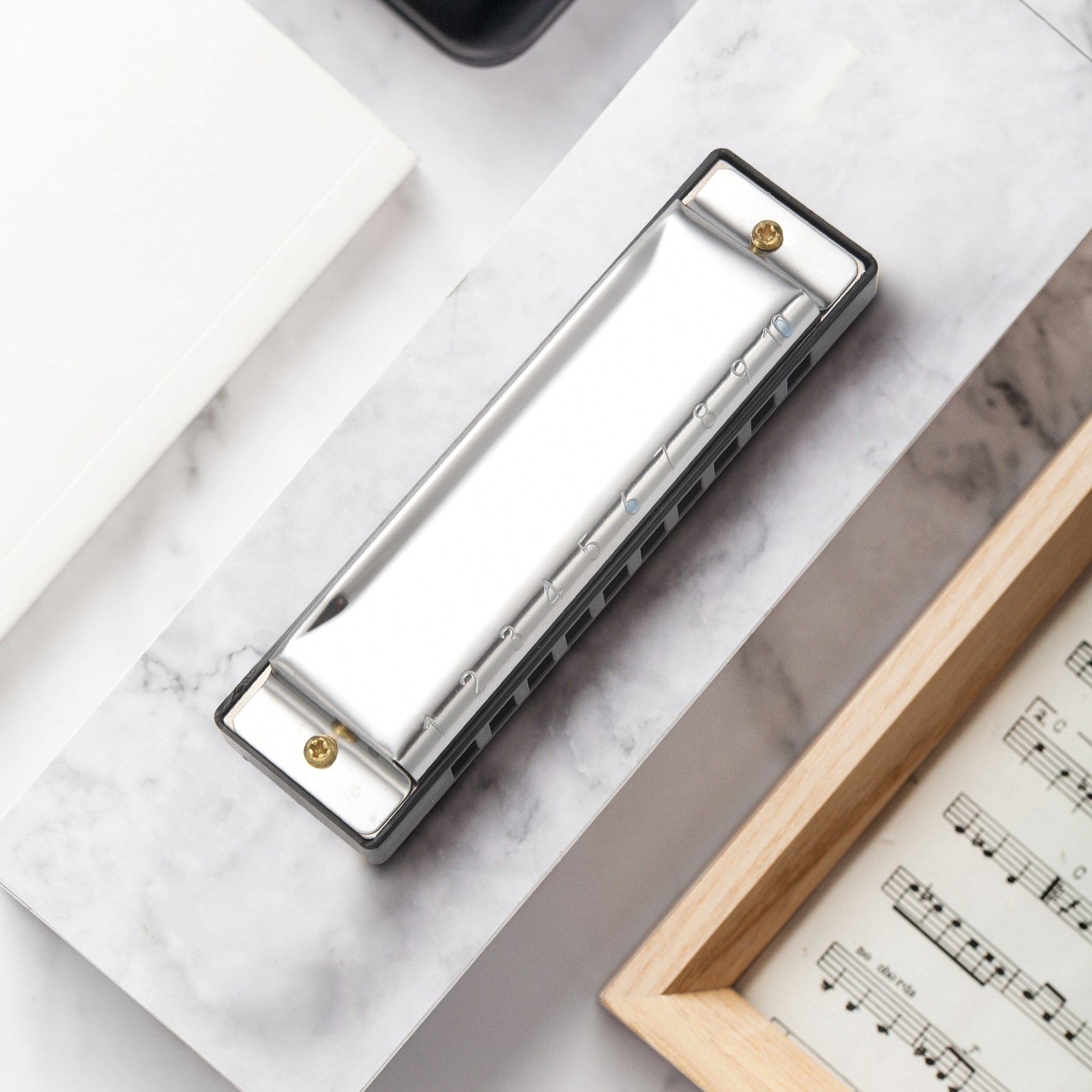 ABXY 10 Holes Blues Harmonica  - Musical Instrument Organ 评论和价格
