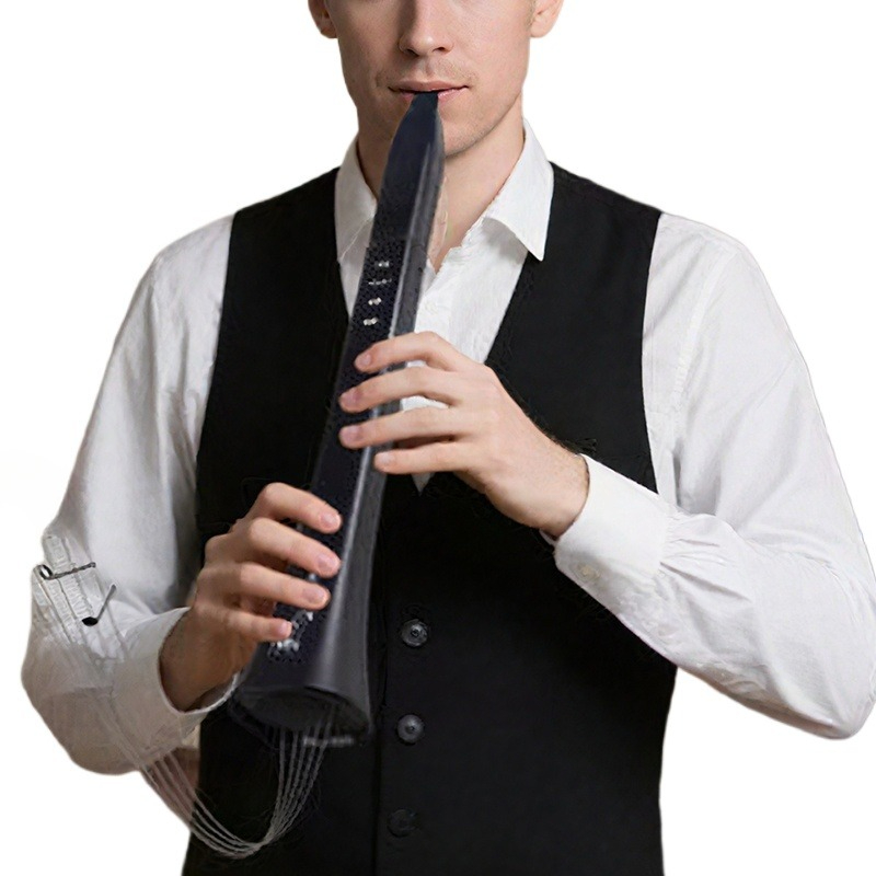 Portable Electronic Wind Instr - Musical Instrument Music 评论和价格