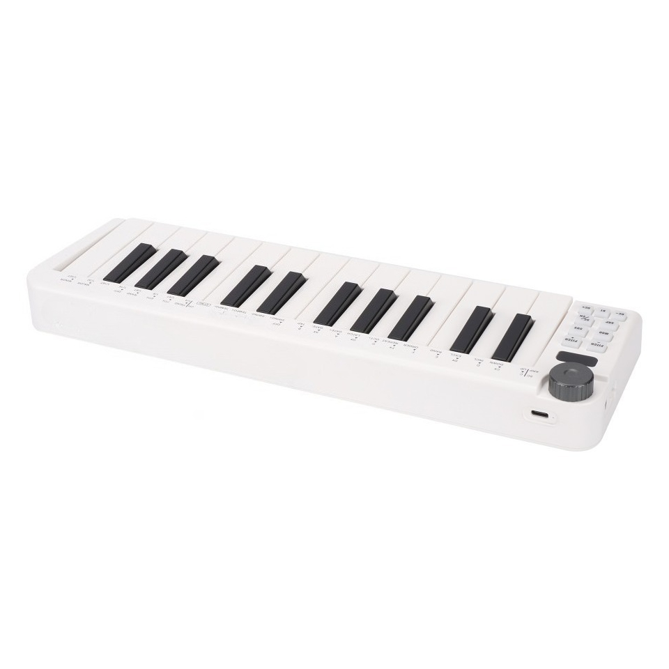 25-Key MIDI Controller, Wirele - A Musical Instrument With Keys 评论和价格