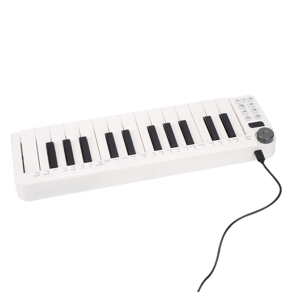 25-Key MIDI Controller, Wirele - A Musical Instrument With Keys 评论和价格